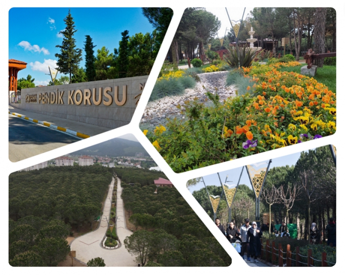 Pendik Korusu'nda Neler Var, Nasıl Gidilir, Ziyaret Saatleri