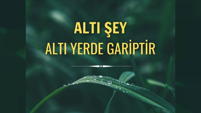 Altı Şey ve Doğru Yerlerinde Değer Kazanmaları