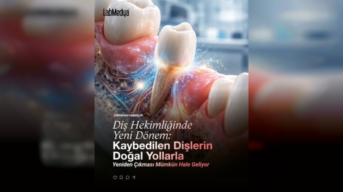 İmplant Tarih Oluyor: Yeni İlaçla İnsan Dişi Yeniden Üretilebilecek