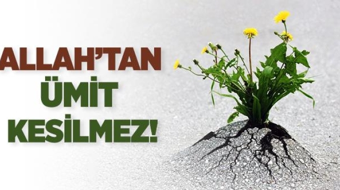 Allah’tan Umut Kesme: Rahmet Kapısı Her Zaman Açık
