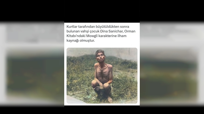 Vahşi Doğadan İnsan Dünyasına: Dina Sanichar’ın Sarsıcı Hikâyesi