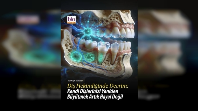 Diş Protezleri ve İmplantlar Tarihe mi Karışıyor? Japonya’dan Biyolojik Diş Devrimi