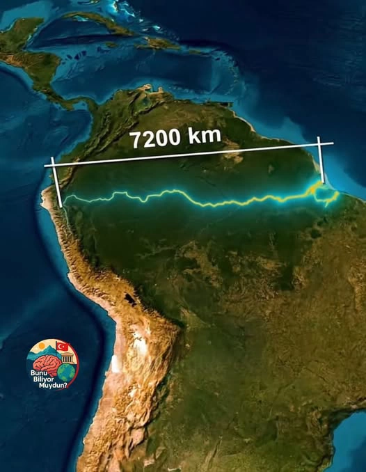 Amazon Nehri Hakkında 10 İlginç Gerçek