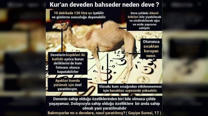 Devede Saklı Hikmetler