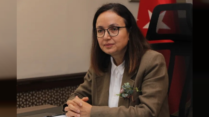 Dr. Hülya Kaya Mülkiye Başmüfettişliği görevine atandı