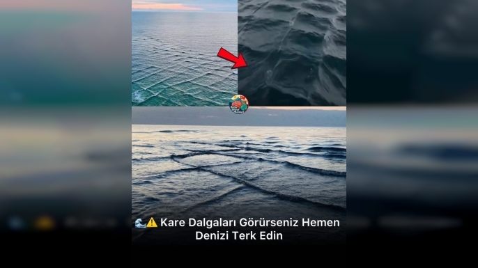 Kare Dalgaları Görürseniz Hemen Denizi Terk Edin