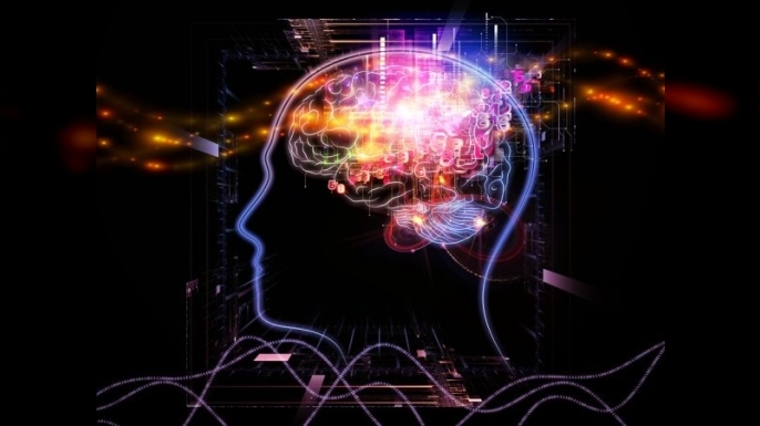 Minnettarlık Beyni ve Bedeni Yeniden Şekillendiriyor: Bilimsel Olarak Kanıtlandı