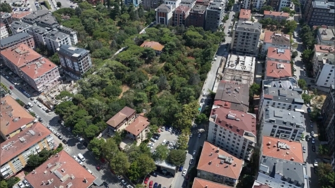 Pendik Burla Biraderler Korusu Millet Bahçesi Olacak