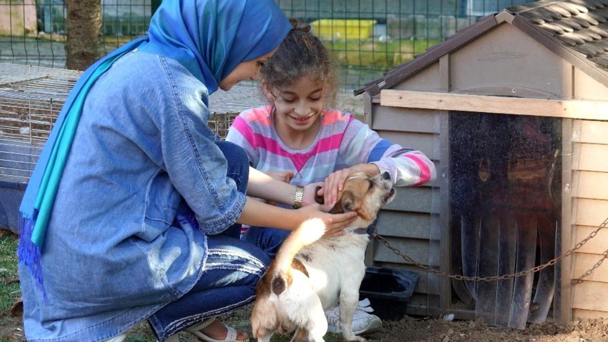 İnsanlar ve hayvanlar arasında büyük bir yakınlık ve duygusal bağ vardır. Günümüzde kediler, köpekler, kuşlar, balıklar başta olmak üzere birçok farklı hayvan evde beslenir. Bunun yanı sıra sadece evde değil, duyarlı hayvan severler tarafından sokak hayvanlarının besin ihtiyaçları da karşılanır. Hayvan sevgisini daha fazla insana yaymak adına hayvanlarla ilgili çok güzel sözler bulunuyor. Hayvanları sevmeli, korumalı ve onlarla ilgilenmeliyiz, böylece mümkün olan en iyi yaşamı sürdürebilirler.