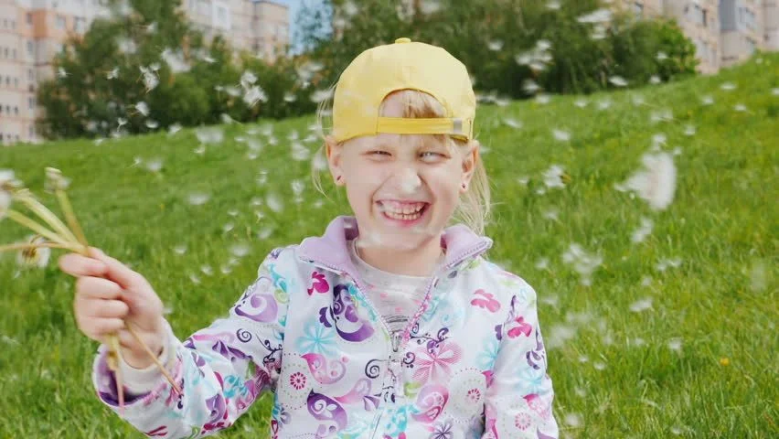 Sarı şapka (Güneş): 