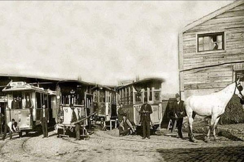 'Dingo'nun Ahırı Deyimi' Nereden Geliyor, Gerçek Hikayesi