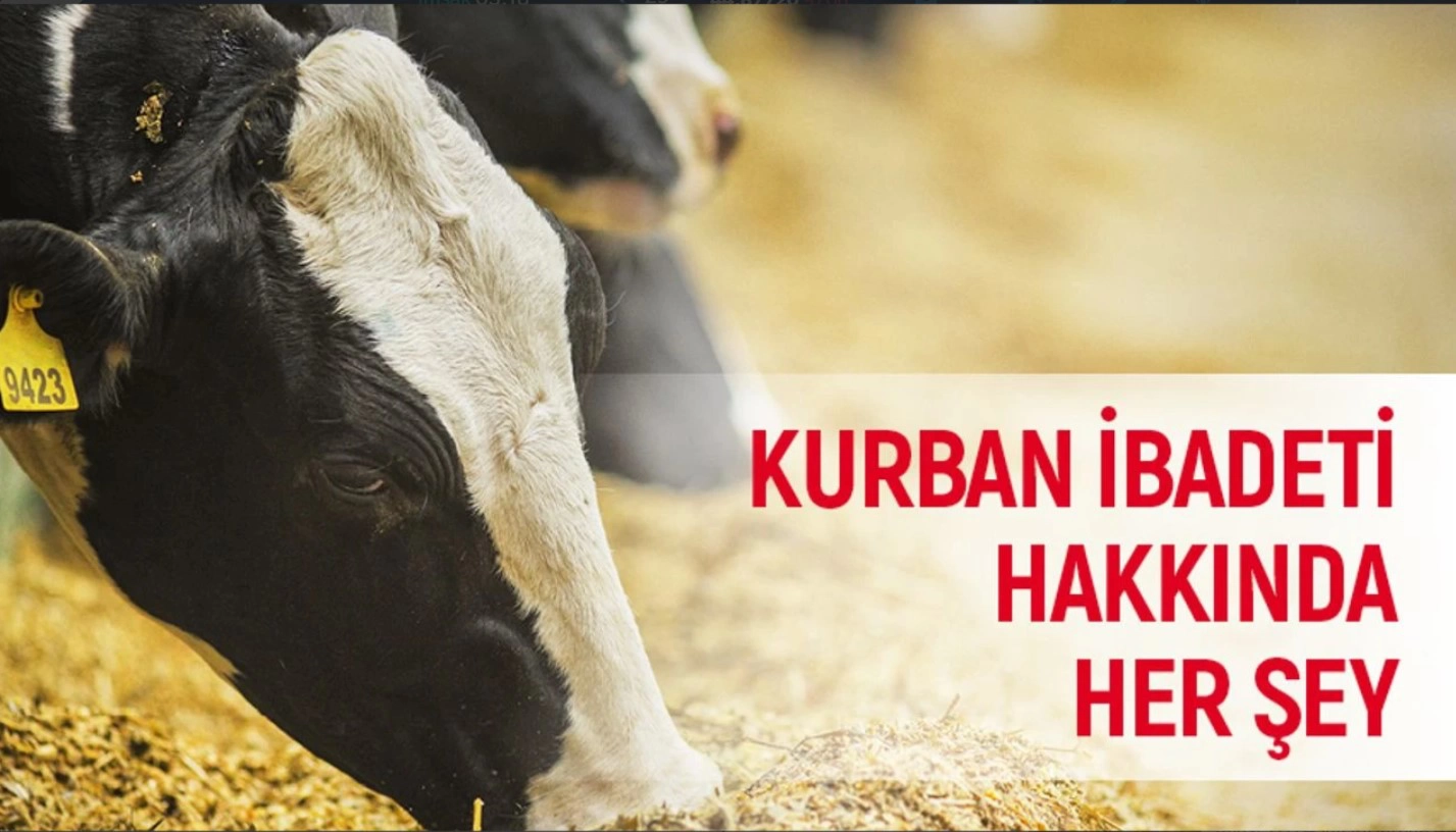 Kurban İbadeti: Anlamı, Hükmü ve Detaylarıyla Kapsamlı Rehber